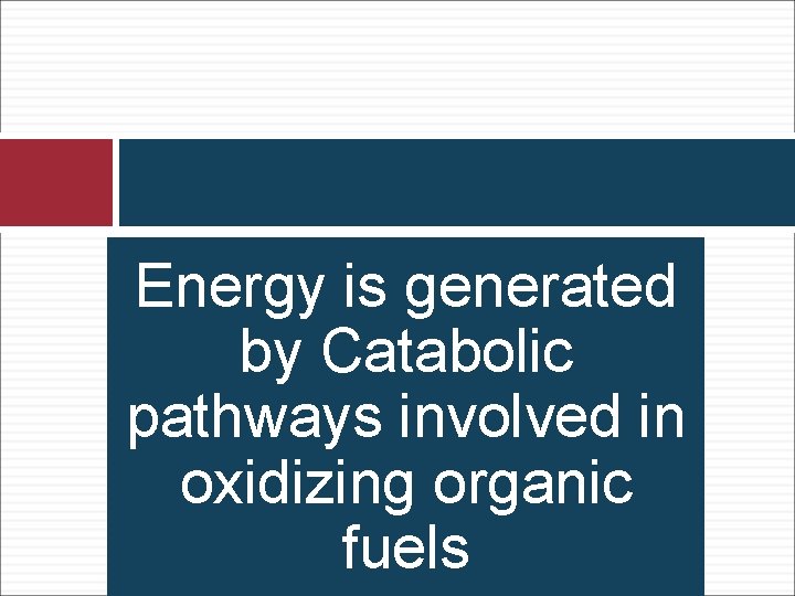 Energy is generated by Catabolic pathways involved in oxidizing organic fuels 