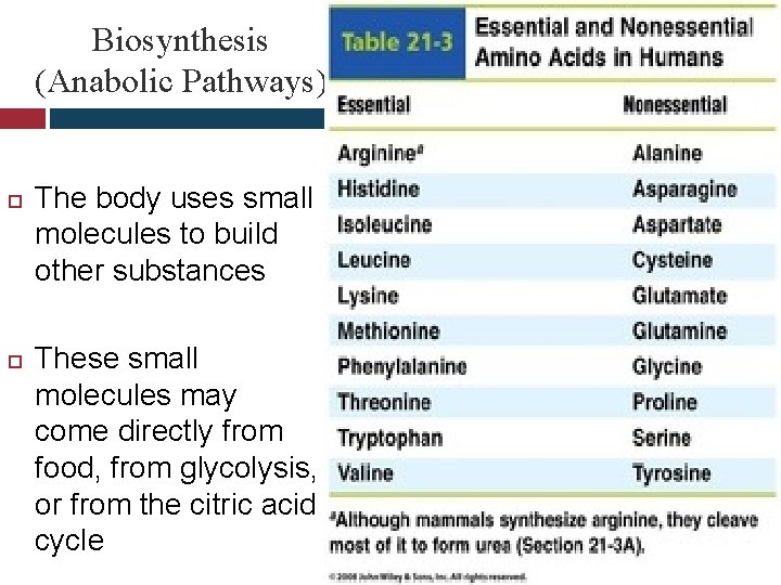 Biosynthesis (Anabolic Pathways) The body uses small molecules to build other substances These small