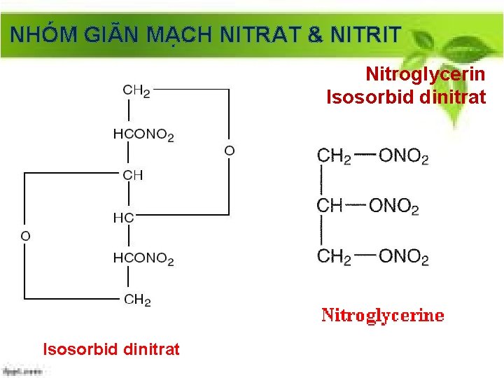 NHÓM GIÃN MẠCH NITRAT & NITRIT Nitroglycerin Isosorbid dinitrat 