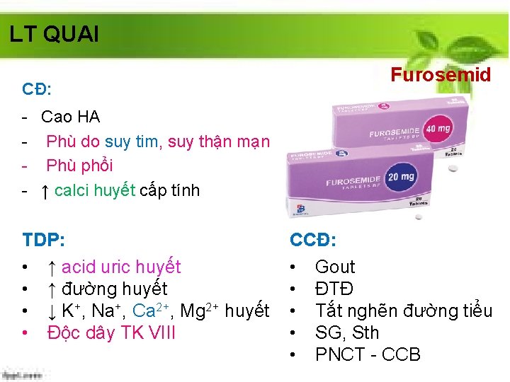 LT QUAI CĐ: Furosemid - Cao HA - Phù do suy tim, suy thận