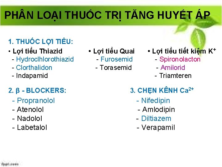 PH N LOẠI THUỐC TRỊ TĂNG HUYẾT ÁP 1. THUỐC LỢI TIỂU: • Lợi