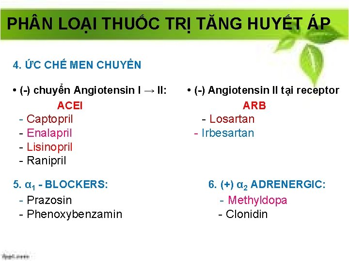 PH N LOẠI THUỐC TRỊ TĂNG HUYẾT ÁP 4. ỨC CHẾ MEN CHUYỂN •