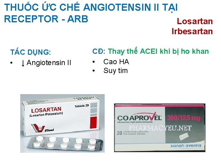 THUỐC ỨC CHẾ ANGIOTENSIN II TẠI RECEPTOR - ARB Losartan Irbesartan TÁC DỤNG: •