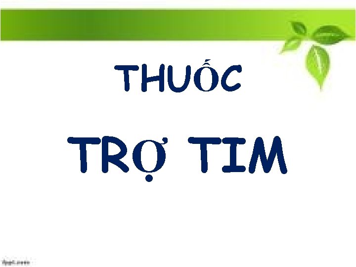 THUỐC TRỢ TIM 