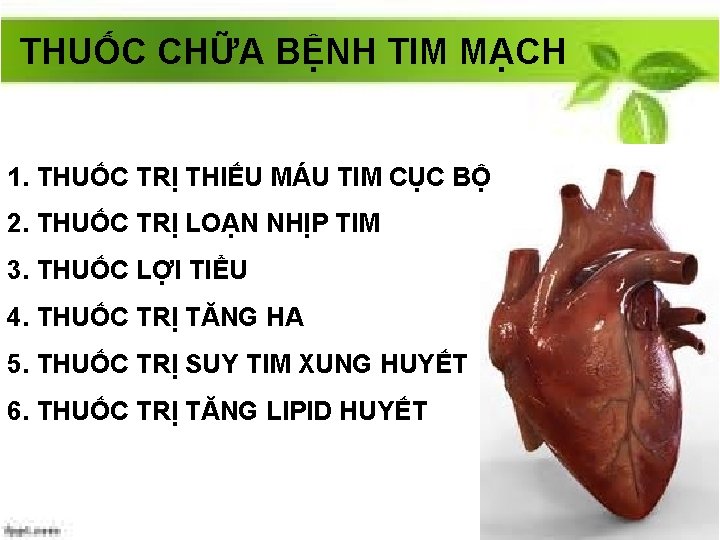 THUỐC CHỮA BỆNH TIM MẠCH 1. THUỐC TRỊ THIẾU MÁU TIM CỤC BỘ 2.