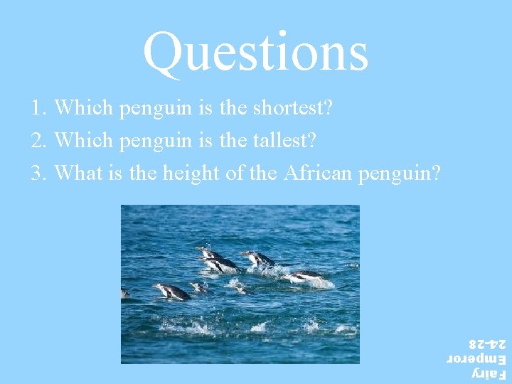 Questions 1. Which penguin is the shortest? 2. Which penguin is the tallest? 3.