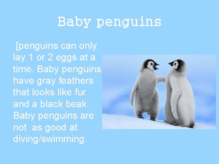Baby penguins [penguins can only lay 1 or 2 eggs at a time. Baby