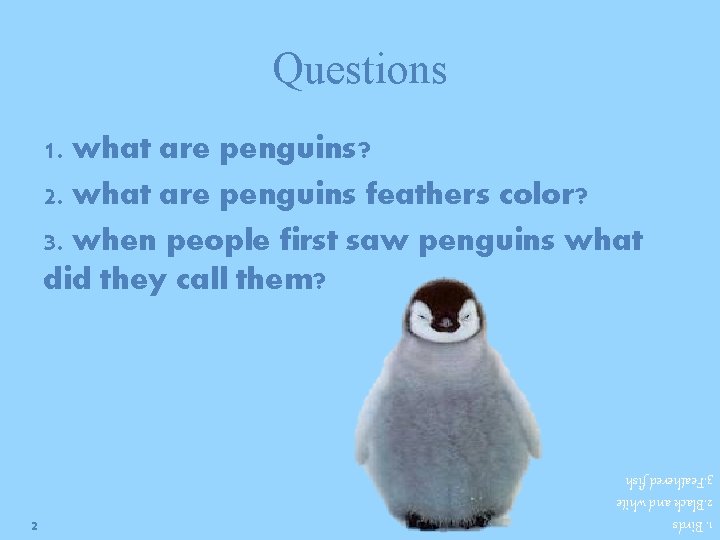 Questions 1. what are penguins? 2. what are penguins feathers color? 3. when people