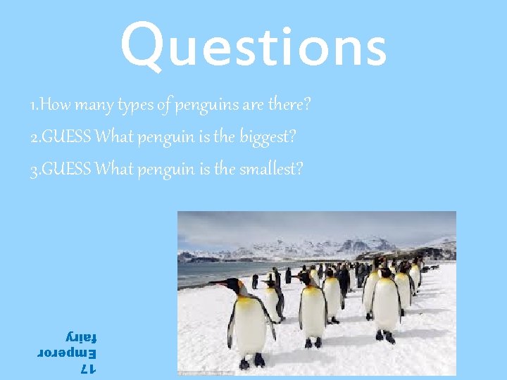 Questions 1. How many types of penguins are there? 2. GUESS What penguin is