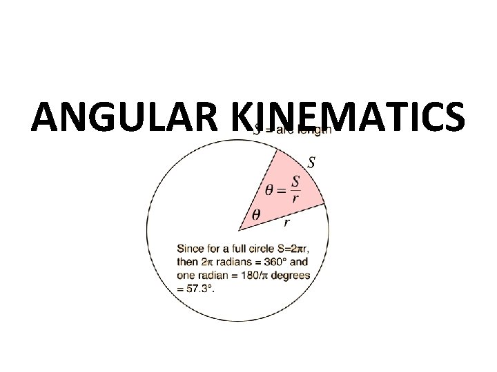 ANGULAR KINEMATICS ANGULAR KINEMATICS