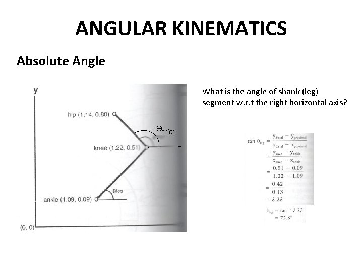 ANGULAR KINEMATICS Absolute Angle What is the angle of shank (leg) segment w. r.