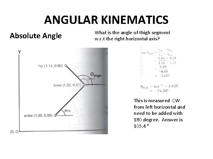 ANGULAR KINEMATICS Absolute Angle What is the angle of thigh segment w. r. t ANGULAR KINEMATICS Absolute Angle What is the angle of thigh segment w. r. t