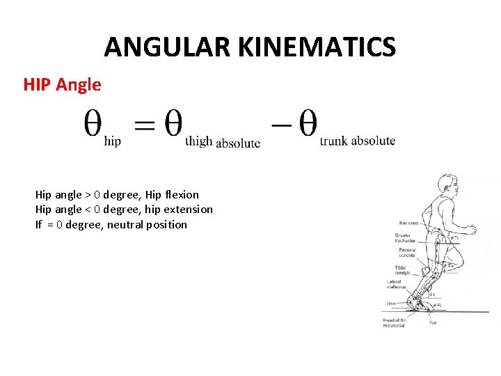 ANGULAR KINEMATICS HIP Angle Hip angle > 0 degree, Hip flexion Hip angle < ANGULAR KINEMATICS HIP Angle Hip angle > 0 degree, Hip flexion Hip angle <