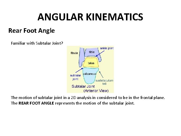 ANGULAR KINEMATICS Rear Foot Angle Familiar with Subtalar Joint? The motion of subtalar joint