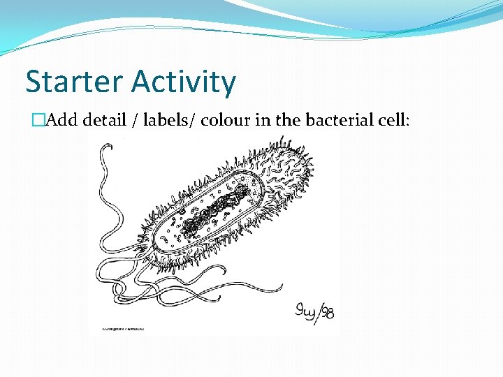 Starter Activity �Add detail / labels/ colour in the bacterial cell: 