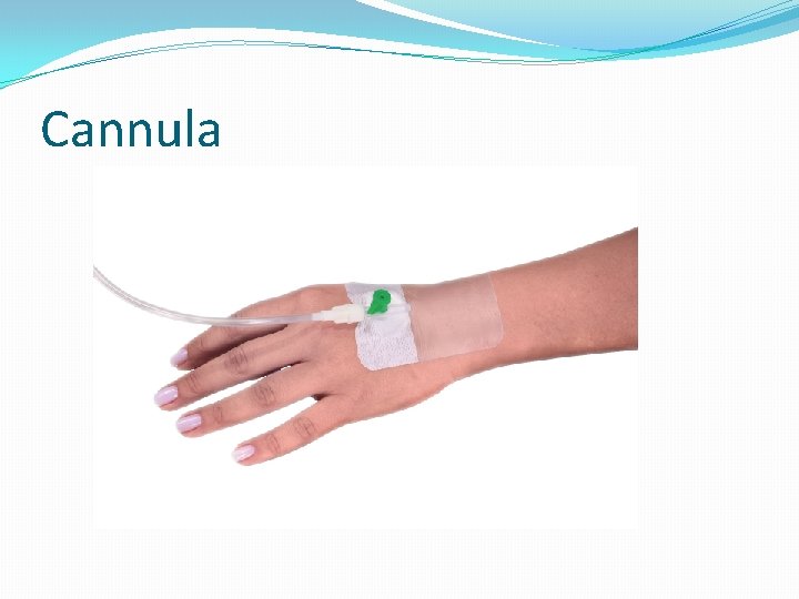 Cannula 