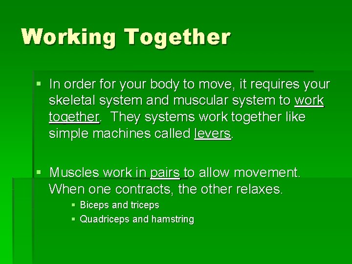 Working Together § In order for your body to move, it requires your skeletal