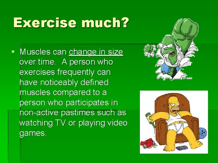 Exercise much? § Muscles can change in size over time. A person who exercises