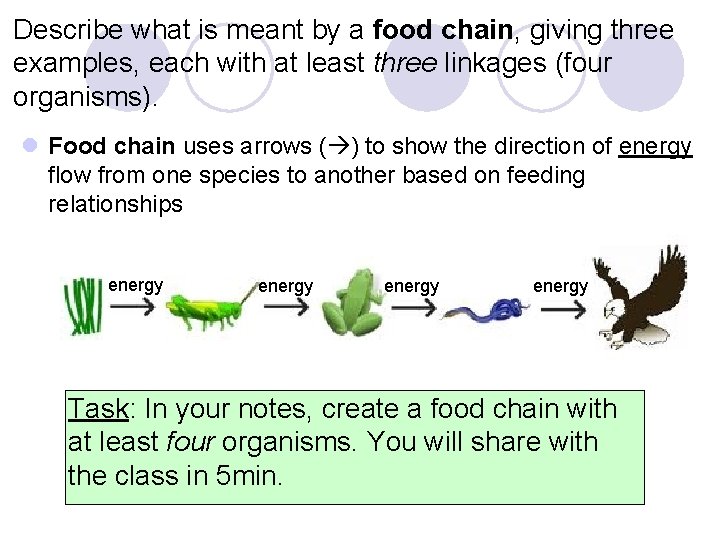 Describe what is meant by a food chain, giving three examples, each with at