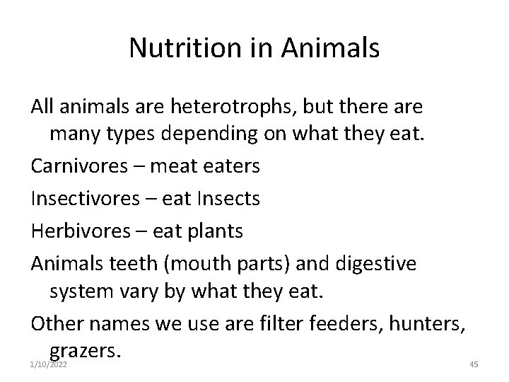 Nutrition in Animals All animals are heterotrophs, but there are many types depending on