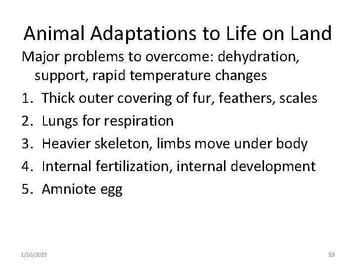 Animal Adaptations to Life on Land Major problems to overcome: dehydration, support, rapid temperature