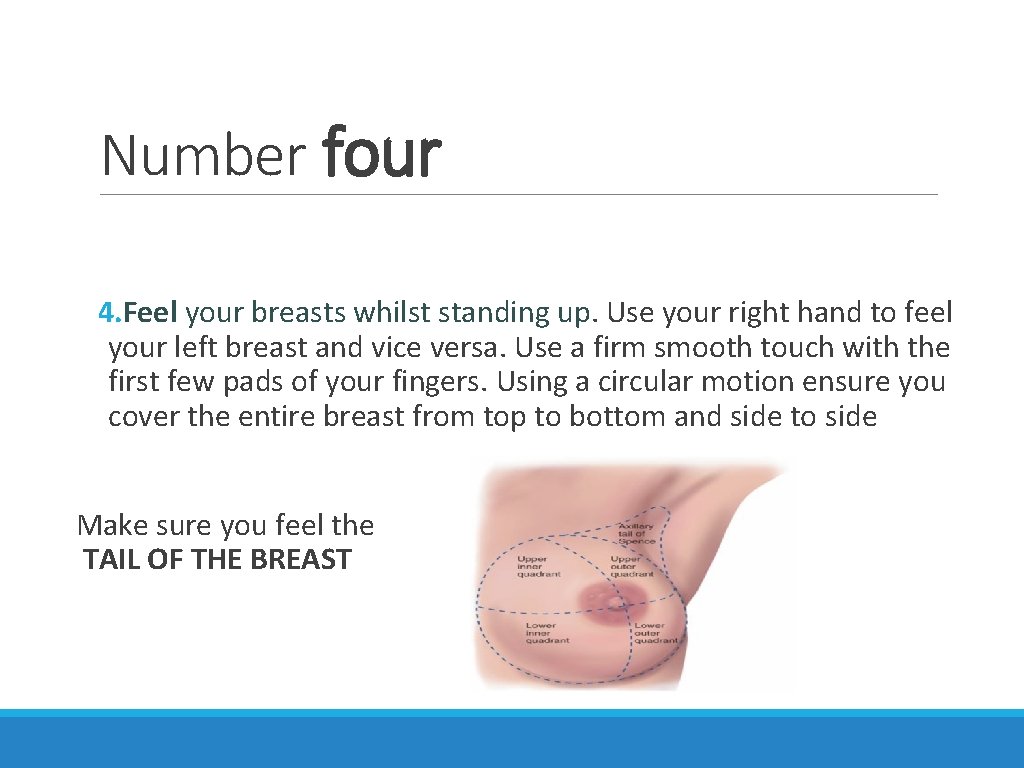 Number four 4. Feel your breasts whilst standing up. Use your right hand to