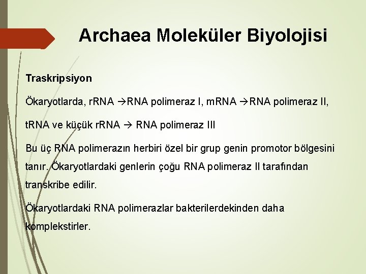 Archaea Moleküler Biyolojisi Traskripsiyon Ökaryotlarda, r. RNA polimeraz I, m. RNA polimeraz II, t.