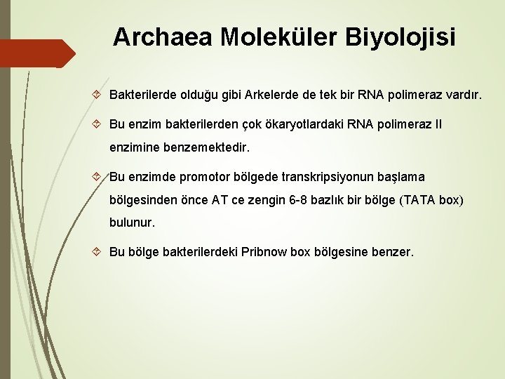 Archaea Moleküler Biyolojisi Bakterilerde olduğu gibi Arkelerde de tek bir RNA polimeraz vardır. Bu