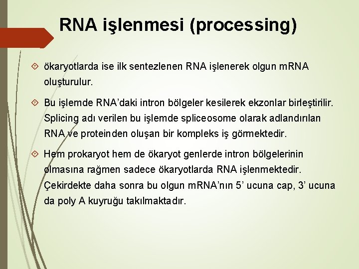 RNA işlenmesi (processing) ökaryotlarda ise ilk sentezlenen RNA işlenerek olgun m. RNA oluşturulur. Bu