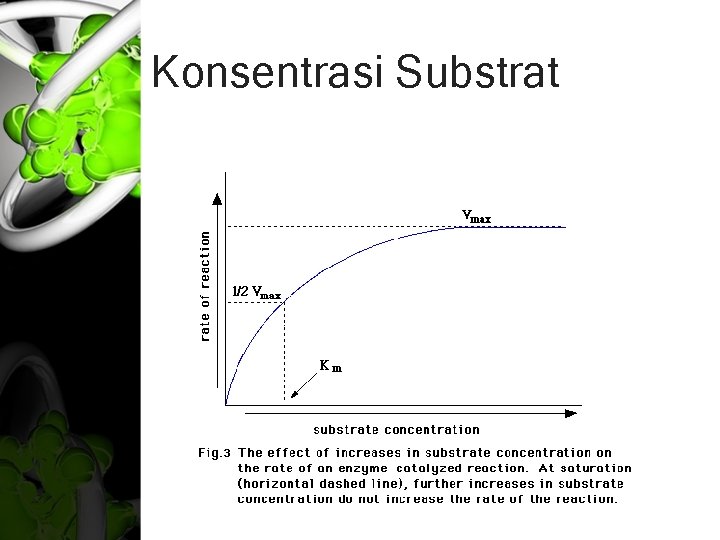 Konsentrasi Substrat 