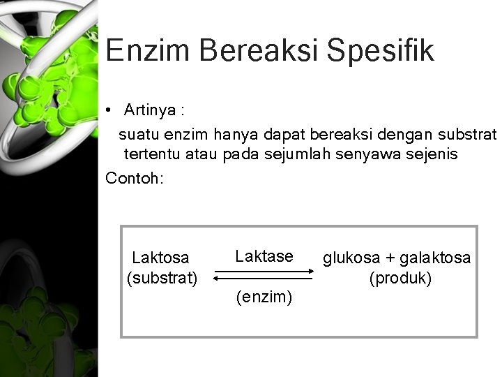 Enzim Bereaksi Spesifik • Artinya : suatu enzim hanya dapat bereaksi dengan substrat tertentu