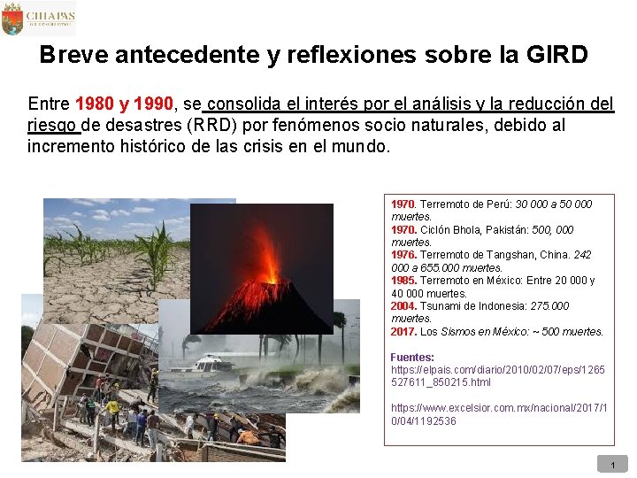 Breve antecedente y reflexiones sobre la GIRD Entre 1980 y 1990, se consolida el