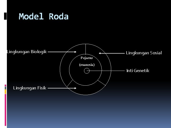 Model Roda Lingkungan Biologik Pejamu Lingkungan Sosial (manusia) Inti Genetik Lingkungan Fisik 