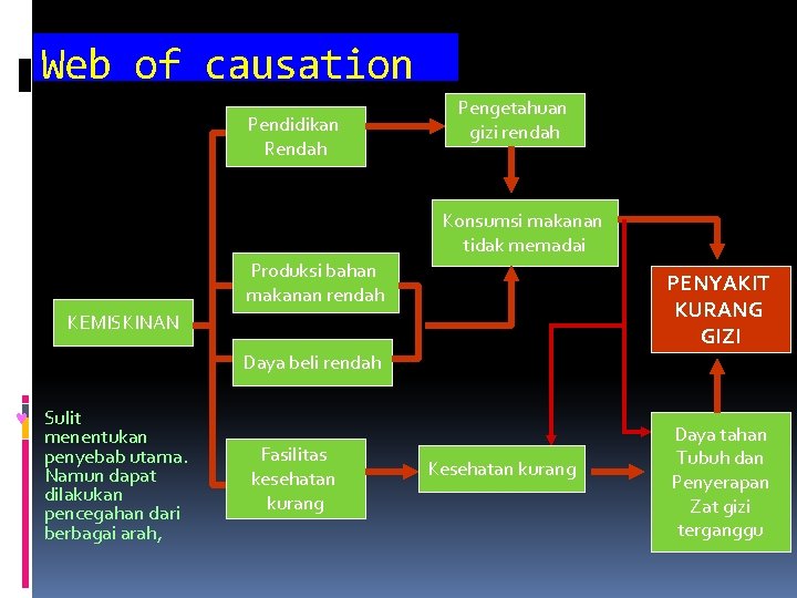 Web of causation Pendidikan Rendah Pengetahuan gizi rendah Konsumsi makanan tidak memadai Produksi bahan