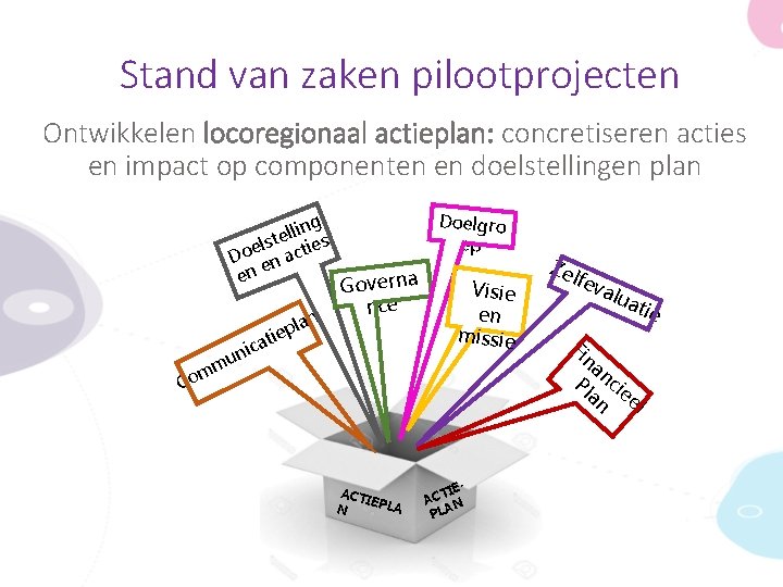 Stand van zaken pilootprojecten Ontwikkelen locoregionaal actieplan: concretiseren acties en impact op componenten en