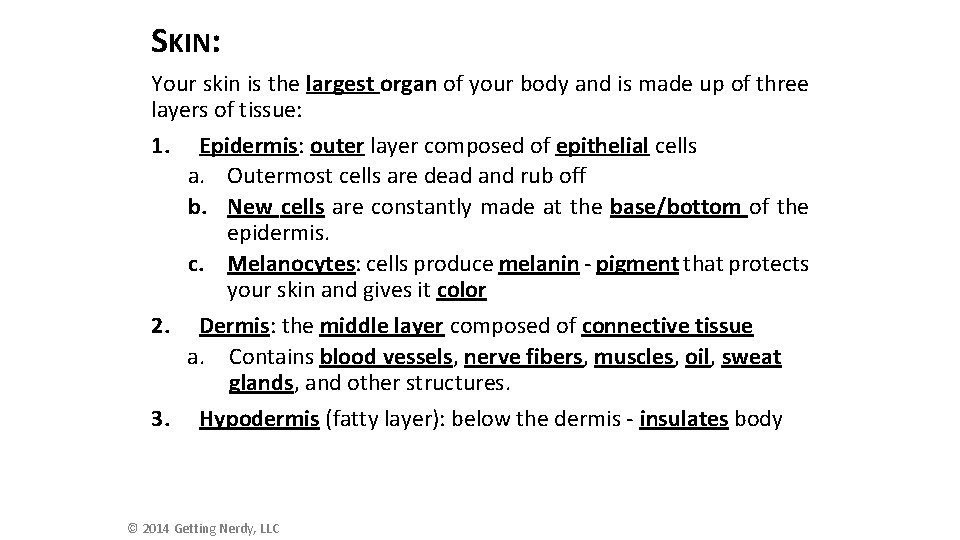 SKIN: Your skin is the largest organ of your body and is made up SKIN: Your skin is the largest organ of your body and is made up