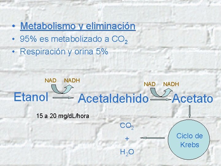  • Metabolismo y eliminación • 95% es metabolizado a CO 2 • Respiración