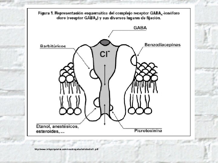 http: //www. infopsiquiatria. com/socidrogalcohol/alcohol 1. pdf 