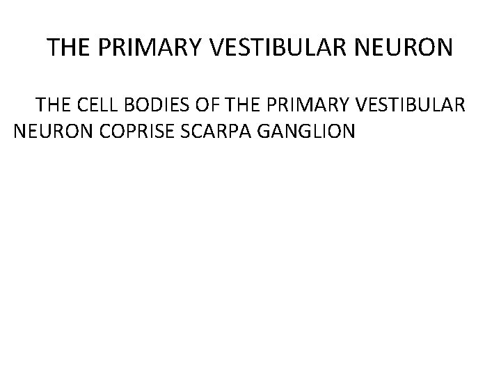 THE PRIMARY VESTIBULAR NEURON THE CELL BODIES OF THE PRIMARY VESTIBULAR NEURON COPRISE SCARPA