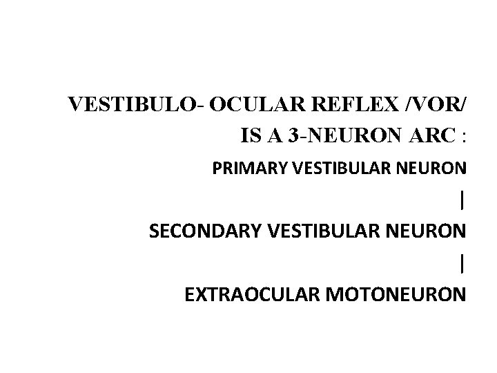 VESTIBULO- OCULAR REFLEX /VOR/ IS A 3 -NEURON ARC : PRIMARY VESTIBULAR NEURON |