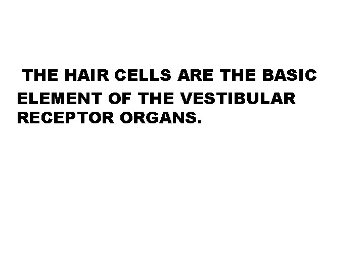 THE HAIR CELLS ARE THE BASIC ELEMENT OF THE VESTIBULAR RECEPTOR ORGANS. 