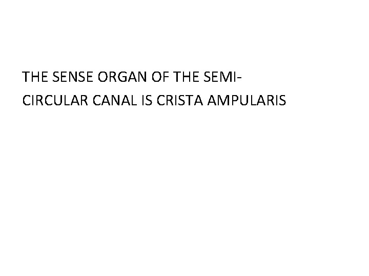 THE SENSE ORGAN OF THE SEMICIRCULAR CANAL IS CRISTA AMPULARIS 