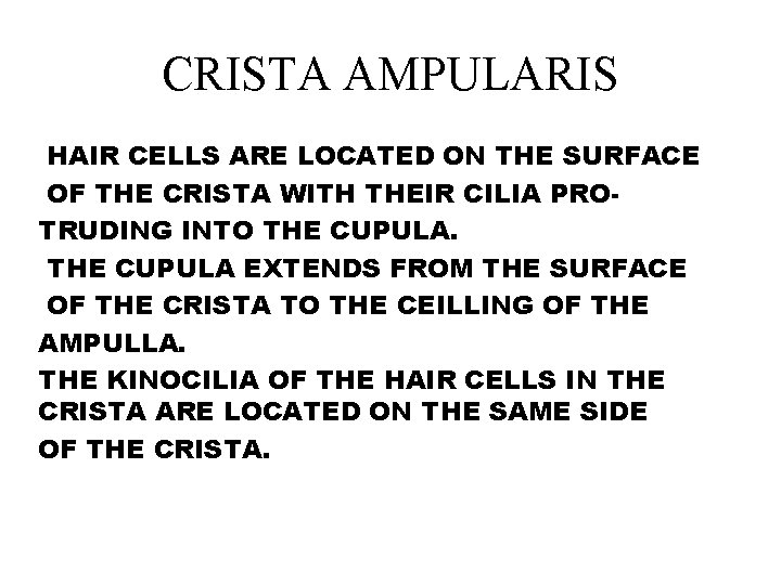 CRISTA AMPULARIS HAIR CELLS ARE LOCATED ON THE SURFACE OF THE CRISTA WITH THEIR