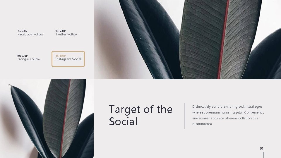 70, 600 k 90, 500 k 35, 150 k Facebook Follow Google Follow Twitter