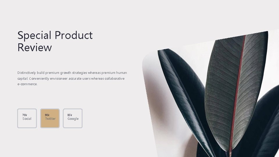 Special Product Review Distinctively build premium growth strategies whereas premium human capital. Conveniently envisioneer