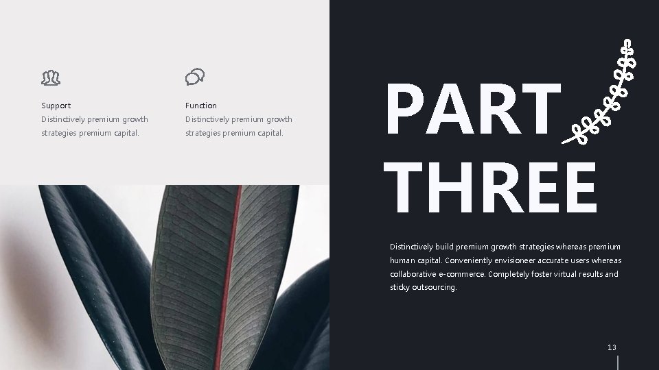 Support Function Distinctively premium growth strategies premium capital. PART THREE Distinctively build premium growth