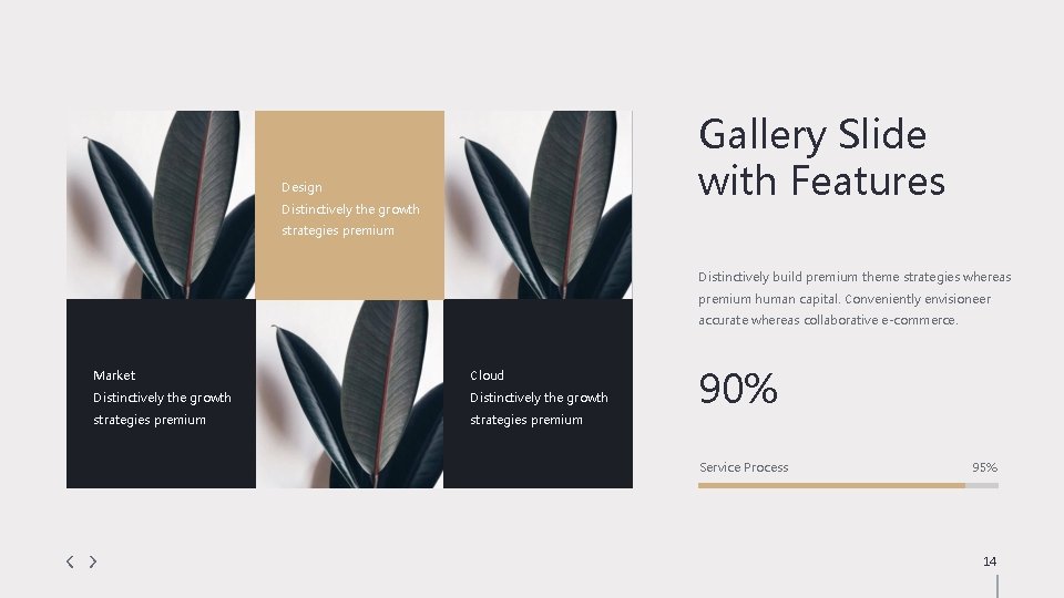 Gallery Slide with Features Design Distinctively the growth strategies premium Distinctively build premium theme