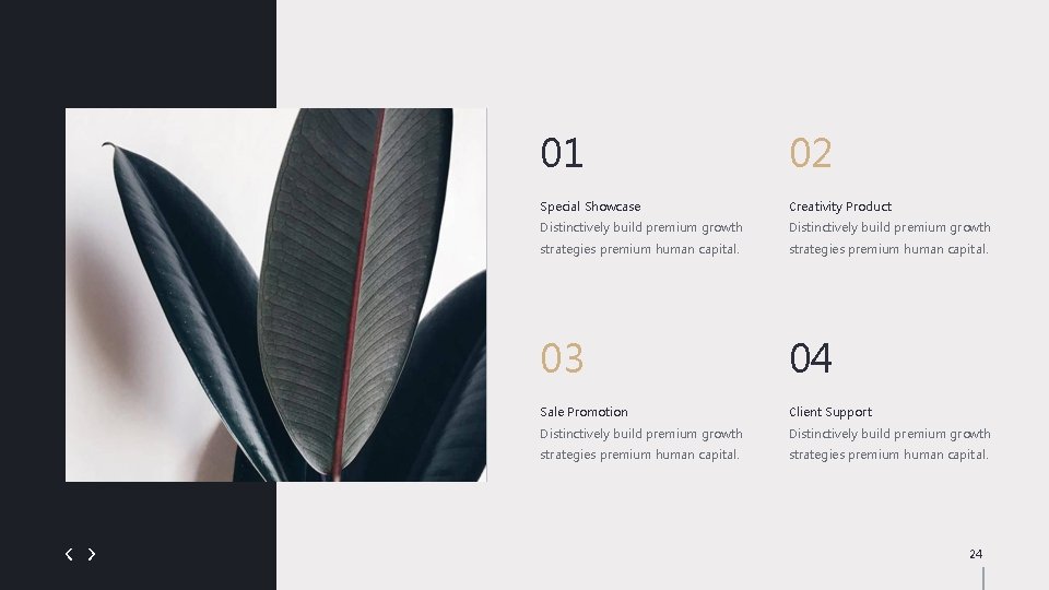 01 02 Special Showcase Creativity Product Distinctively build premium growth strategies premium human capital.