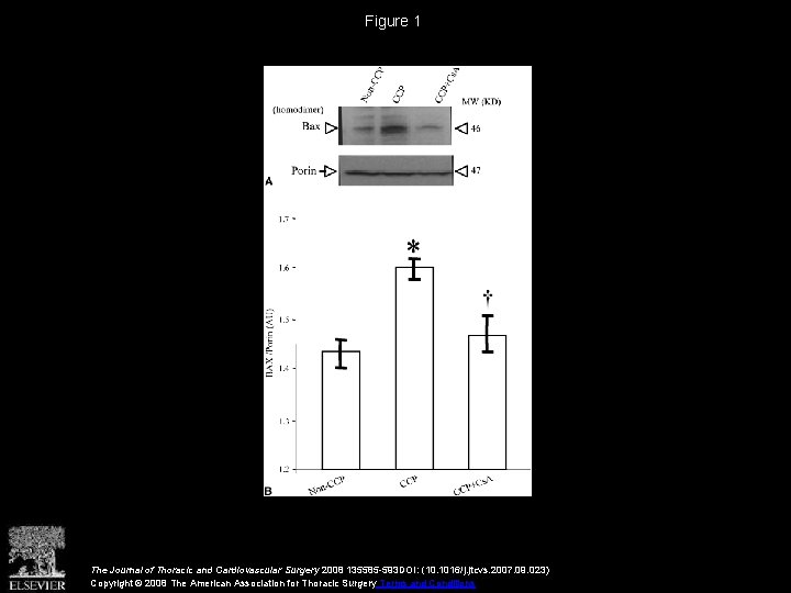 Figure 1 The Journal of Thoracic and Cardiovascular Surgery 2008 135585 -593 DOI: (10.