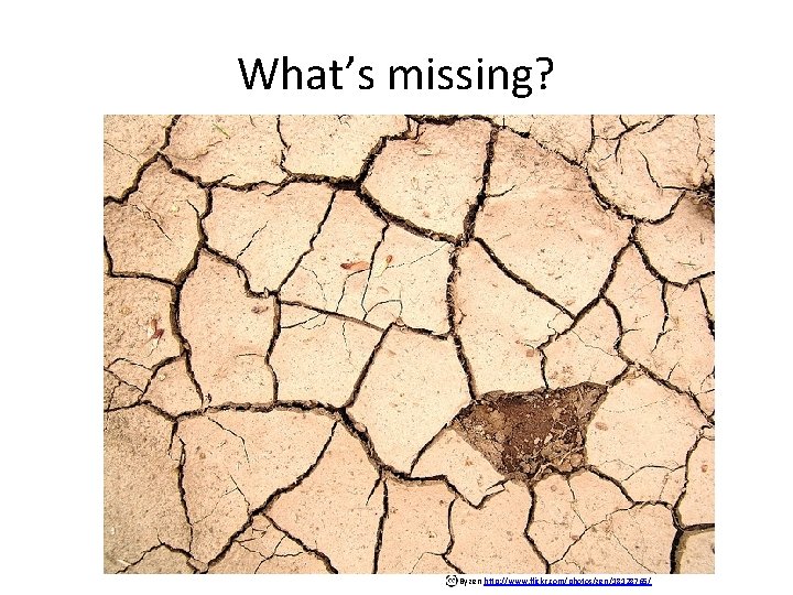 What’s missing? By zen http: //www. flickr. com/photos/zen/18128765/ 